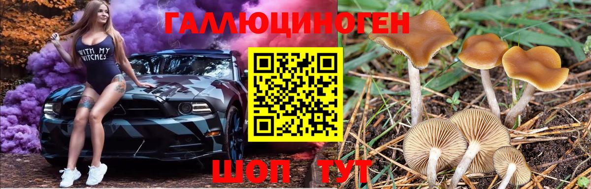 Галлюциногенные грибы GOLDEN TEACHER Магнитогорск